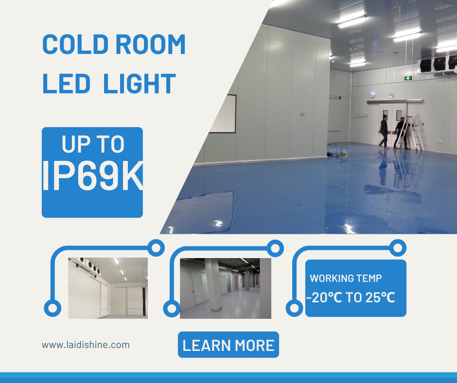 Cold Room LED Light